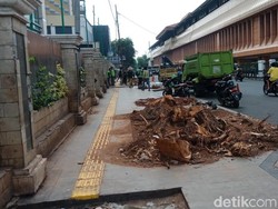 Dinas Kehutanan Akan Ganti Pohon di Cikini dengan yang Lebih Aman
