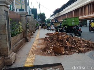 Pohon Rindang di Cikini Ditebang, Pemkot: Sudah Tua dan Mau Musim Hujan Pohon Rindang di Cikini Ditebang, Pemkot: Sudah Tua dan Mau Musim Hujan