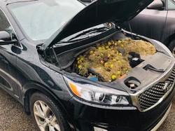 Suka Parkir di Luar? Sering-sering Dicek Deh biar Nggak Begini!