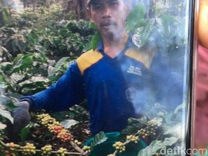 Jasad Terkubur di Bawah Lantai Musala, Polisi: Pembunuhnya Orang Dekat Jasad Terkubur di Bawah Lantai Musala, Polisi: Pembunuhnya Orang Dekat