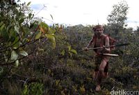 Sepak Terjang Budayawan Krayan untuk Budaya Dayak