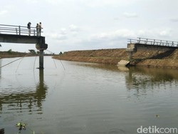 Jembatan Antar Desa di Demak Roboh, Akses Terputus