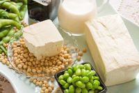 Tips Menggoreng Tofu Agar Mulus dan Tidak Hancur