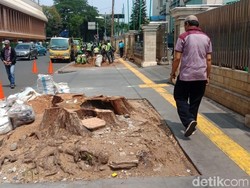 Warga Keluhkan Penebangan Pohon Rindang di Cikini: Panas dan Gersang