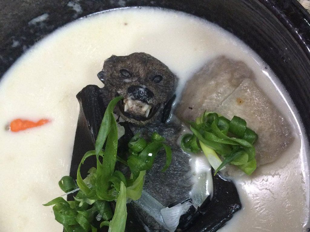 Ini 5 Makanan Mematikan dan Berbahaya yang Populer di Dunia Ini 5 Makanan Mematikan dan Berbahaya yang Populer di Dunia