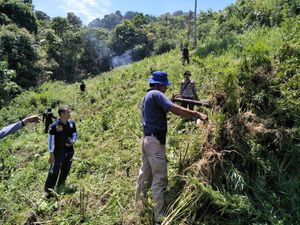 BNN Musnahkan Ladang Ganja, Diubah Jadi Lahan Pertanian Produktif
