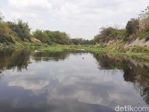 Pemuda di Sragen Loncat ke Sungai Bengawan Solo, Ditemukan Tewas Pemuda di Sragen Loncat ke Sungai Bengawan Solo, Ditemukan Tewas