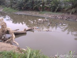 Warga Mengeluh Bau Menyengat dari Sungai Bedera Medan, Ada Bangkai Babi