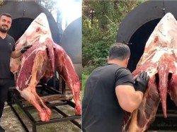 Istimewa! Restoran Ini Sajikan Menu Unta Panggang yang Dimasak 24 Jam