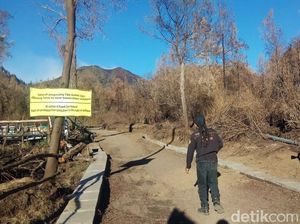 Kebakaran Padam Namun Wisata Kawah Ijen Belum Dibuka, Kenapa Ya?