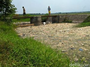 Jorok! Sungai Ledeng di Mojokerto Penuh Sampah dan Limbah Usus Ayam Jorok! Sungai Ledeng di Mojokerto Penuh Sampah dan Limbah Usus Ayam