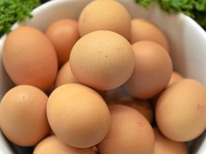 Pemkot Jamin Telur yang Beredar di Surabaya Aman dan Layak Konsumsi