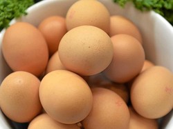 Pemkot Jamin Telur yang Beredar di Surabaya Aman dan Layak Konsumsi