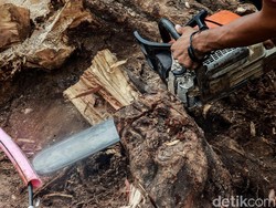 Polisi: Pria Cari Istri Sambil Geber Gergaji Mesin Sasar Emak-emak