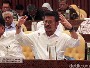 Mentan Ogah Garapannya di Kalteng Dicampur dengan Program Prabowo