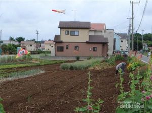 Tak Jauh dari Tokyo, Kota Jepang Ini Serasa Italia