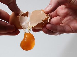 Waduh! Pria Ini Tewas Saat Ikut Tantangan Makan Telur Mentah Terbanyak