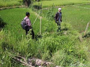 Batu Makara Abad 9 di Klaten Raib, BPCB: Mungkin Dijadikan Talud Batu Makara Abad 9 di Klaten Raib, BPCB: Mungkin Dijadikan Talud