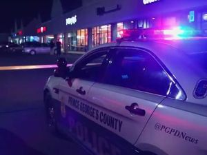 Pria AS Tewas Dibunuh Usai Serobot Antrean di Restoran Sandwich