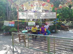 Pascainsiden Atap SDN Gentong Ambruk, Siswa Diliburkan 4 Hari Pascainsiden Atap SDN Gentong Ambruk, Siswa Diliburkan 4 Hari