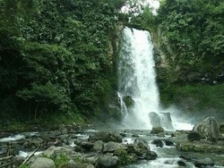 Air Terjun Cantik di Tengah Kebun Kopi