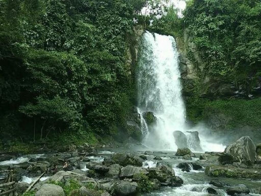 Air Terjun Cantik di Tengah Kebun Kopi Air Terjun Cantik di Tengah Kebun Kopi