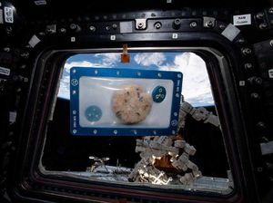 Astronot Mau Bikin Kue Antariksa Pakai Oven Luar Angkasa Astronot Mau Bikin Kue Antariksa Pakai Oven Luar Angkasa