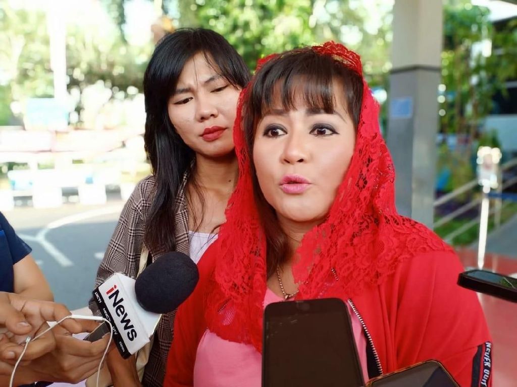 Profil Dewi Tanjung, Politikus PDIP yang Polisikan Novel Baswedan Profil Dewi Tanjung, Politikus PDIP yang Polisikan Novel Baswedan