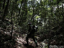 Prajurit TNI yang Gugur Ditembak KKB Papua Diberi Kenaikan Pangkat