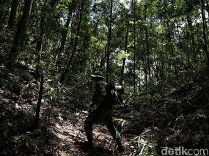 Prajurit TNI yang Gugur Ditembak KKB Papua Diberi Kenaikan Pangkat Prajurit TNI yang Gugur Ditembak KKB Papua Diberi Kenaikan Pangkat