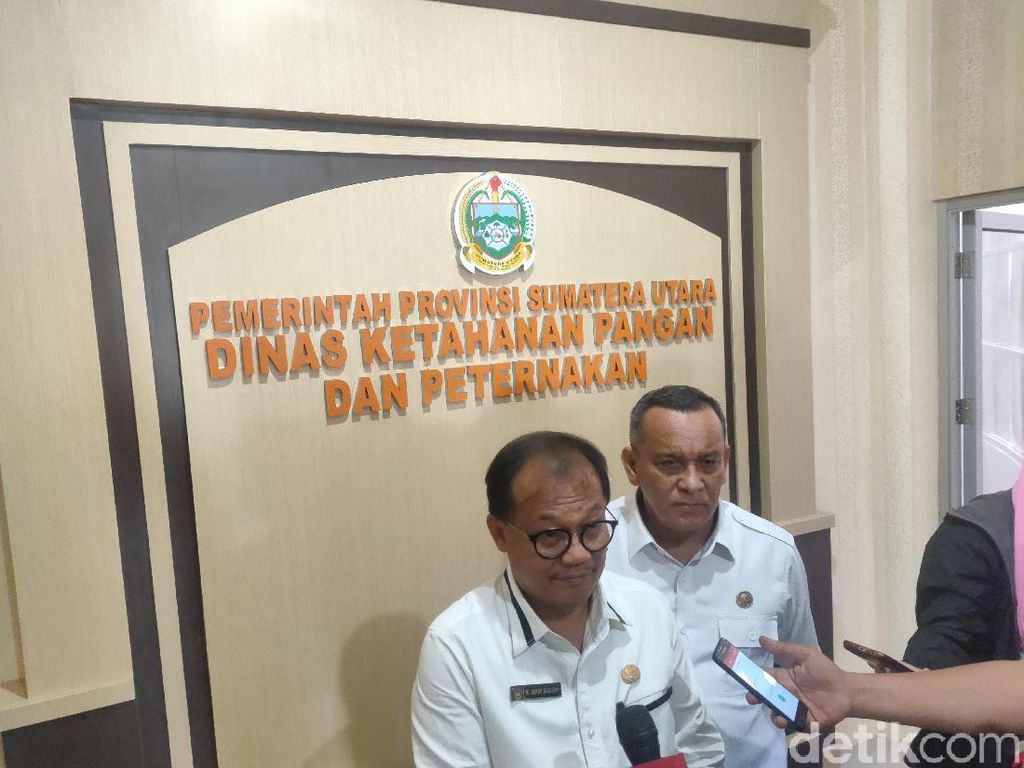Ratusan Bangkai Babi di Sungai Medan, Pemkot Diminta Telusuri Ratusan Bangkai Babi di Sungai Medan, Pemkot Diminta Telusuri