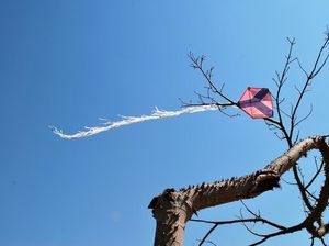 Pelajar SD di Tasikmalaya Tewas Saat Kejar Layangan Putus