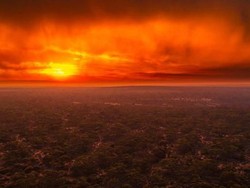 Belasan Ribu Ilmuwan Dunia Desak Tindakan Nyata Soal Perubahan Iklim