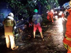 Pohon Setinggi 10 Meter Tumbang dan Timpa Rumah di Ciracas Jaktim Pohon Setinggi 10 Meter Tumbang dan Timpa Rumah di Ciracas Jaktim