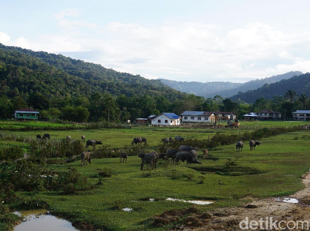 Cerita dari Desa Cantik yang Tersembunyi di Pedalaman Kalimantan