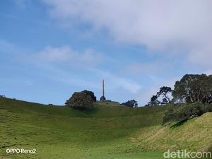 Keindahan Itu Bernama One Tree Hill Keindahan Itu Bernama One Tree Hill