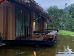 Foto: Penginapan Cantik Milik Nicholas Saputra di Tangkahan