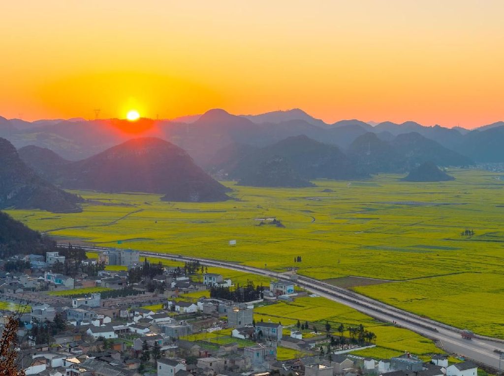 Foto Perkebunan Bunga Terbesar di Dunia yang... Kuning Banget! Foto Perkebunan Bunga Terbesar di Dunia yang... Kuning Banget!