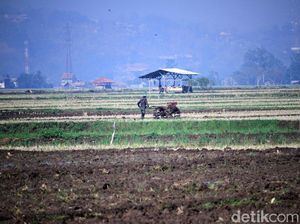 Lirik dan Makna Lagu Sasak Lalo Ngaro