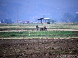 Lirik dan Makna Lagu Sasak Lalo Ngaro