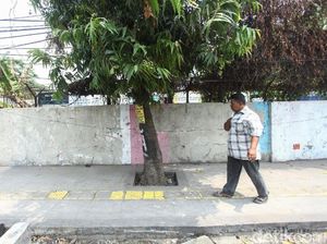 DPRD DKI Minta Bina Marga Pangkas Anggaran Rp 1,2 T untuk Trotoar DPRD DKI Minta Bina Marga Pangkas Anggaran Rp 1,2 T untuk Trotoar
