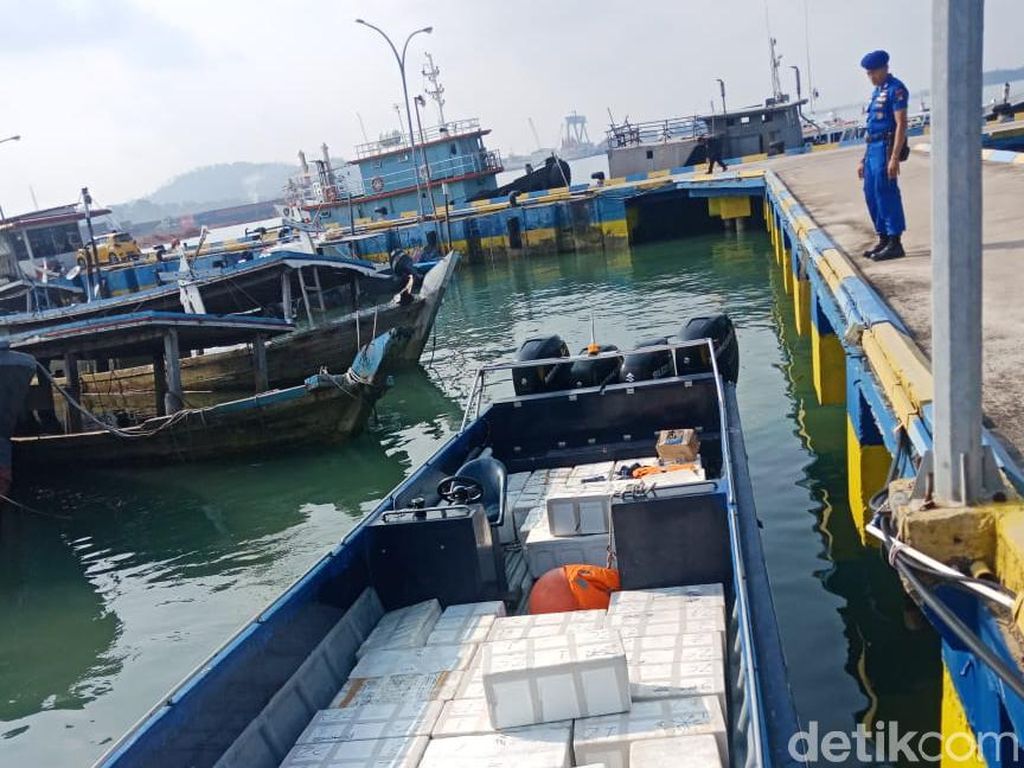 Polisi Gagalkan Penyelundupan Benih Lobster Rp 66 Miliar di Batam Polisi Gagalkan Penyelundupan Benih Lobster Rp 66 Miliar di Batam