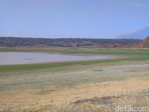 Kemarau Panjang, Waduk Setupatok Cirebon Alami Kekeringan Parah