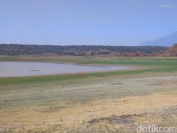Kemarau Panjang, Waduk Setupatok Cirebon Alami Kekeringan Parah