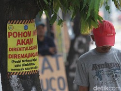 Usai Cikini, Tebang Pohon Akan Lanjut di Kramat Jakpus demi Trotoar