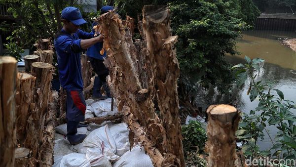 Tanggul Buatan jadi Benteng Kampung Rawajati dari Banjir