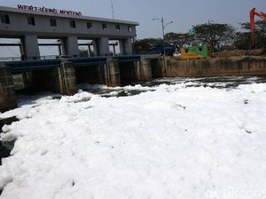 Bagai Salju, Begini Penampakan Lautan Busa di BKT Cakung