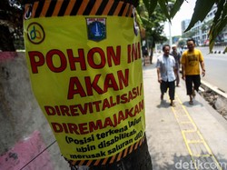 Dinas Kehutanan Cek Kesehatan 250 Pohon di Jakarta
