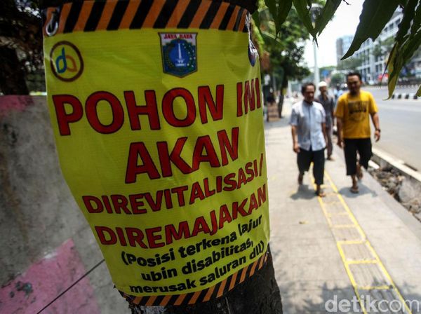 Pohon-pohon di Trotoar Kramat Bakal Senasib dengan yang di Cikini