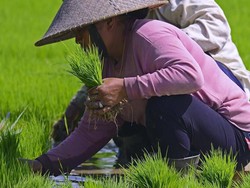 Laporan ADB: 22 Juta Orang Indonesia Menderita Kelaparan